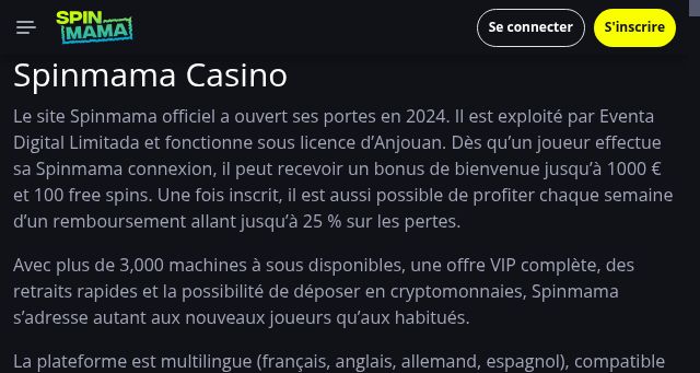 Screenshot of thespinmama.net