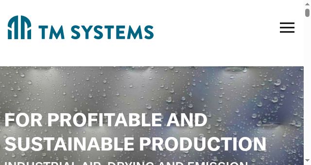 Screenshot of tmsystems.com