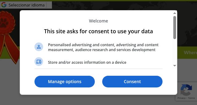Screenshot of topcatbreeders.com