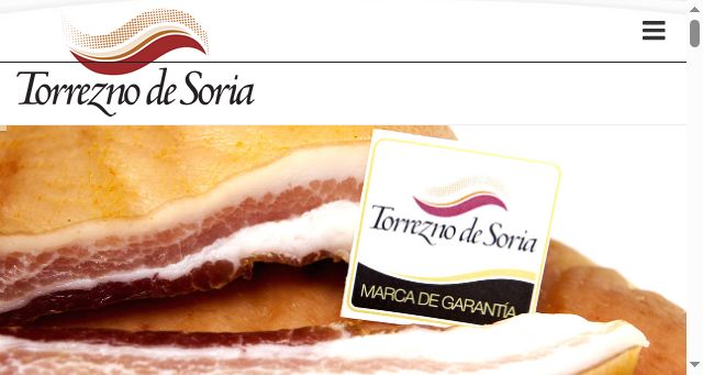 Screenshot of torreznodesoria.com