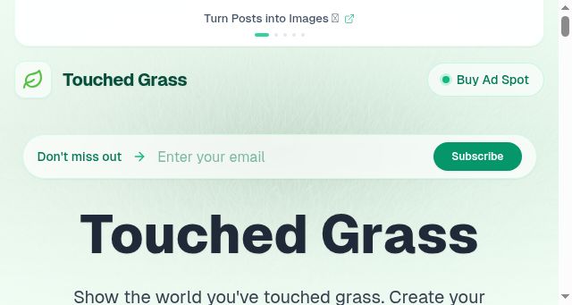Screenshot of touched-grass.com