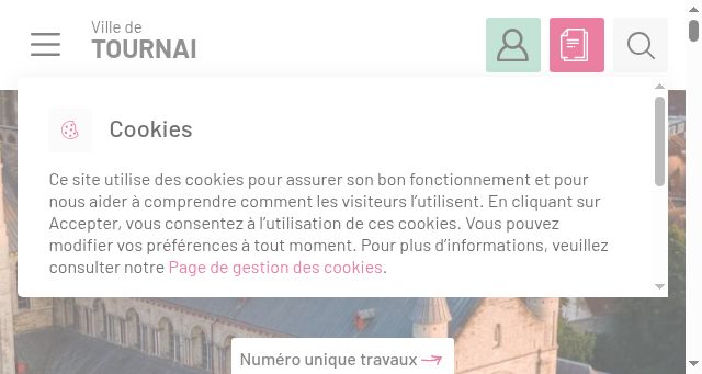 Screenshot of tournai.be