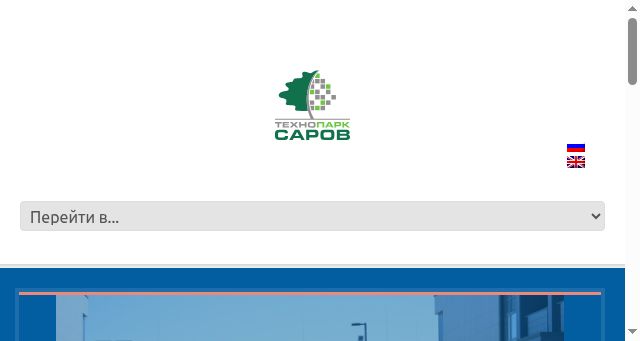 Screenshot of tpsarov.ru