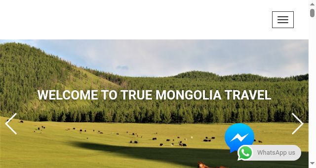 Screenshot of truemongoliatravel.com