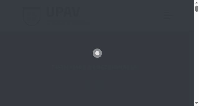 Screenshot of upav.com.mx