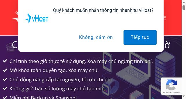 Screenshot of vhost.vn
