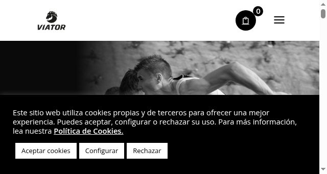 Screenshot of viator.es