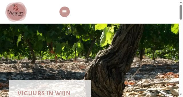 Screenshot of viguursinwijn.nl