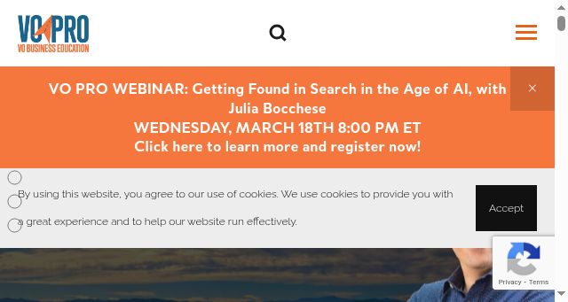 Screenshot of vopro.pro