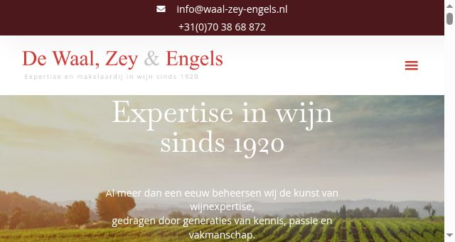 Screenshot of waal-zey-engels.nl