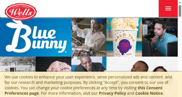 Screenshot of wellsenterprisesinc.com