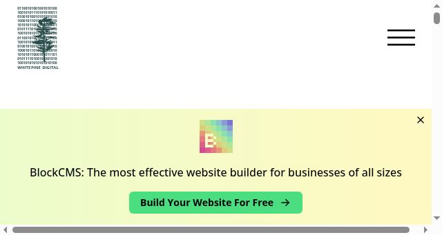 Screenshot of whitepine.digital