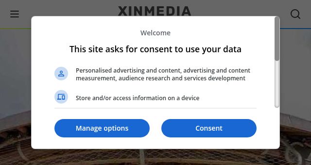 Screenshot of xinmedia.com