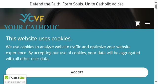 Screenshot of ycvf.org