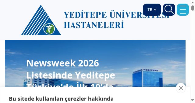 Screenshot of yeditepehastaneleri.com